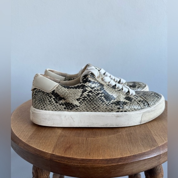Sam Edelman Sneakers Womens Size 6 Snake Print Casual LaceUp Runners Black Cream - Picture 3 of 8